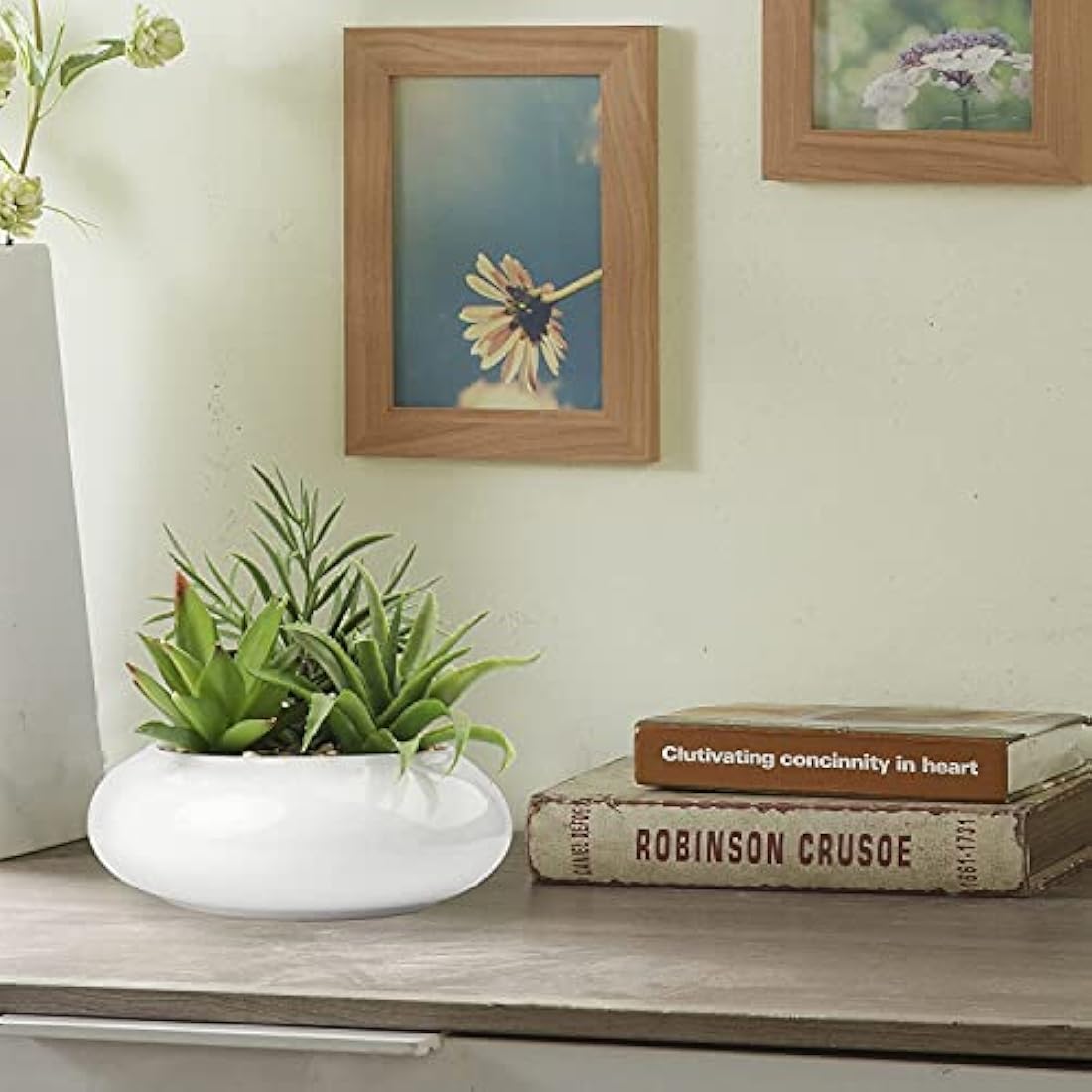 Briful Artificial Succulent Plants Fake Plants in Round Ceramic Pot Faux Potted Plant Fake Succulents Arrangement Artificial Plants Indoor for Office Desk Decor Decorative Home Accessories