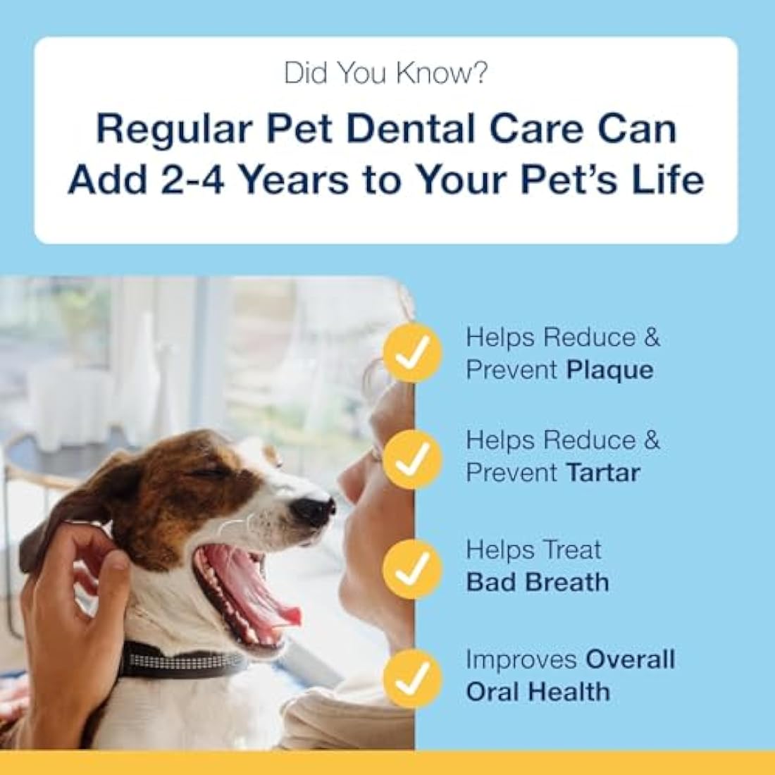 ProDen PlaqueOff 20 Mini Dental Bones for Small Dogs Tartar, Plaque & Bad Breath Remover, Improves Overall Oral Health, Vegetable Fusion and Blueberry