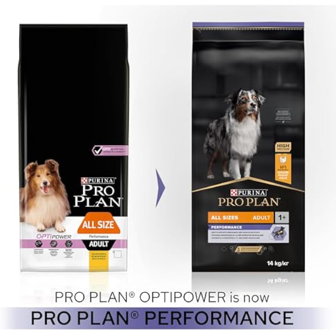 PRO PLAN Adult Performance Dry Dog Food with Chicken 14kg