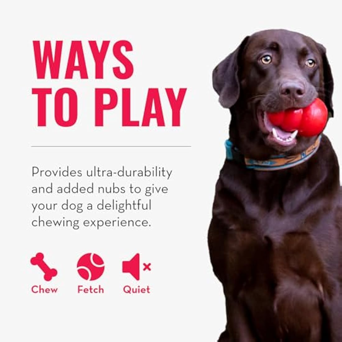 KONG - Ring - Durable Rubber Dog Chew Toy - For Medium/Large Dogs