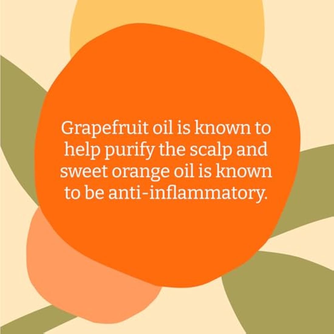 Faith In Nature Natural Grapefruit & Orange Conditioner, Purifying for Oily Hair & Scalp, Vegan & Cruelty Free, No SLS, Silicones or Parabens, 5L Refill Pack