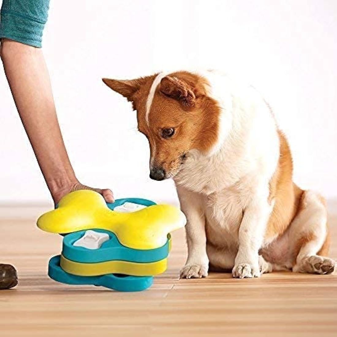 Outward Hound Nina Ottosson Interactive Dog Toys - Medium Level 2 - Dog Puzzle Toys & Treat Dispenser for Boredom Relief, Mental Stimulation & Dog Enrichment - Reduces Anxiety, Engages Smart Dogs