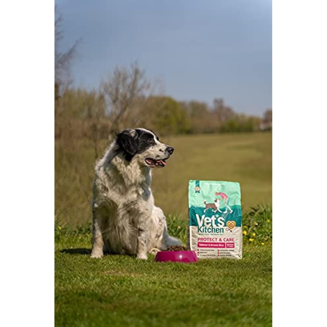 Vet's Kitchen Dry Dog Food Senior Salmon & Brown Rice Protect & Care 3kg