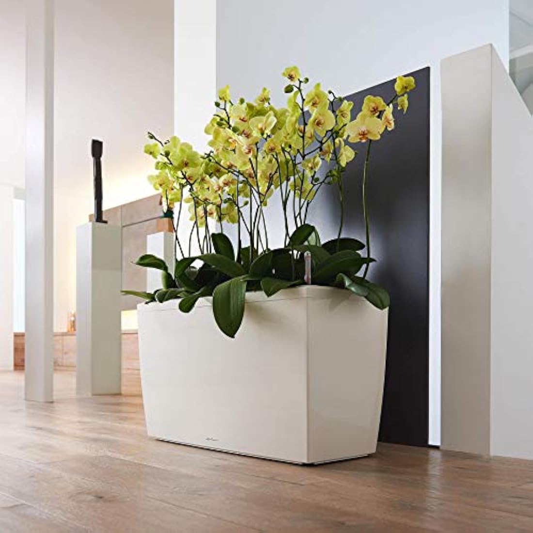 LECHUZA CARARO Premium anthracite metallic 18803