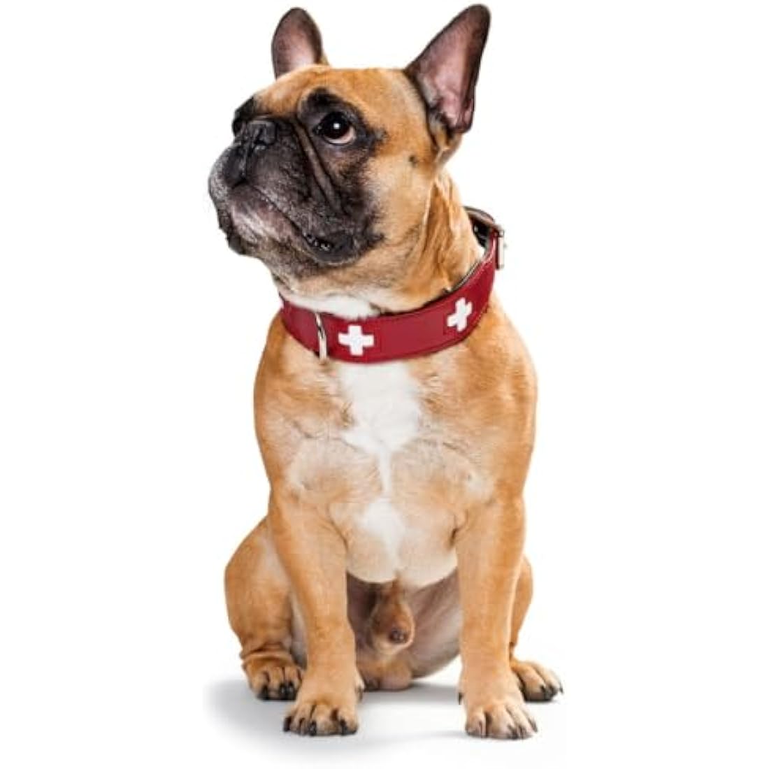 HUNTER Collar Swiss 70 Organic Leather, 56.0-63.5 cm, Red/Black
