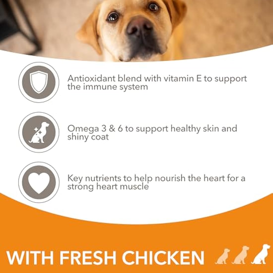 IAMS Adult Large Complete Dry Dog Food Chicken 12kg - With DentalCare System