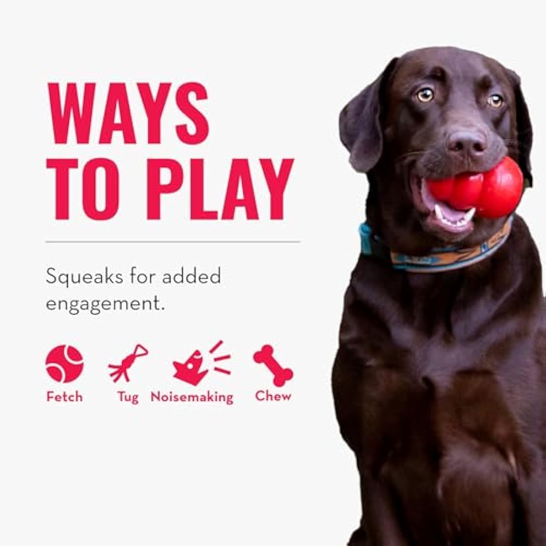 KONG - Wubba Puppy - Nylon Tug of War Dog Toy - For Small Puppy (Assorted Colours)