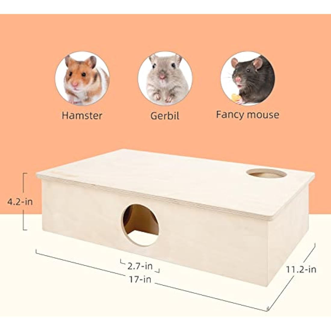 Niteangel Multi-Chamber Hamster House Maze - Multi-Room Hideouts & Tunnel Exploring Toys for Hamster Gerbils Mice Lemmings(6-Room Large)