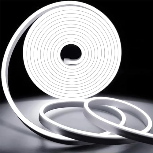 KSIBNW Neon LED Strip Light Waterproof IP65,100ft/30m 220v LED Light Strip,Flexible Cuttable Rope Light Neon Strip Light for Kitchen Bedroom Garden Lights,Outdoor Indoor Decor,Cool White