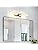 MantoLite LED Bathroom Wall Light with Pull Cord 15.75 Inches Picture Lights for Wall Mirror Lighting Fixtures for Hotel Restaurant Modern Reading Lamps 8W 3000K