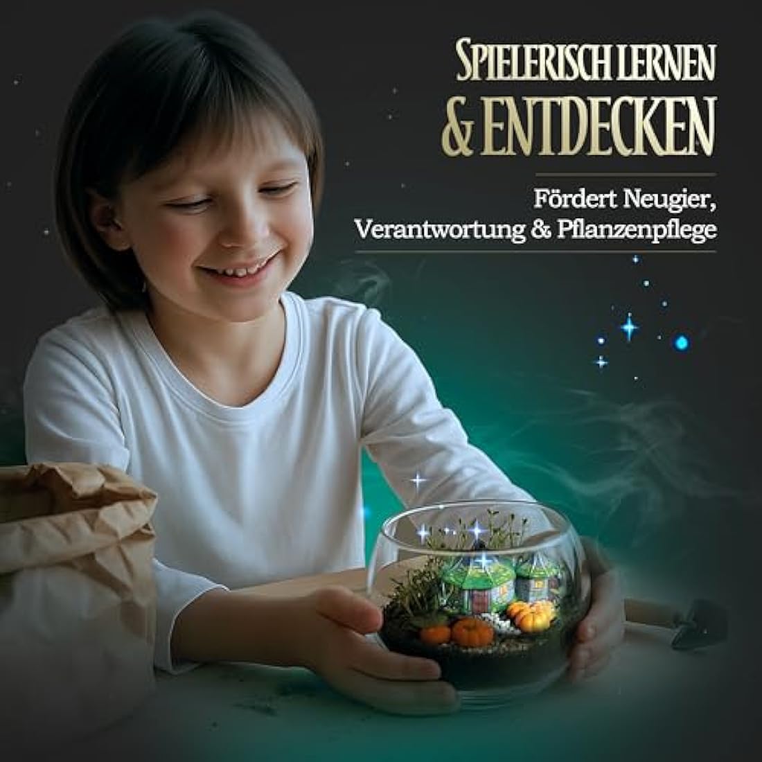 Clementoni- Harry Potter Terrarium Kit: Build Your Magical Greenhouse, Educational Sceintific Toys (7+ Years) - Packaging May Vary