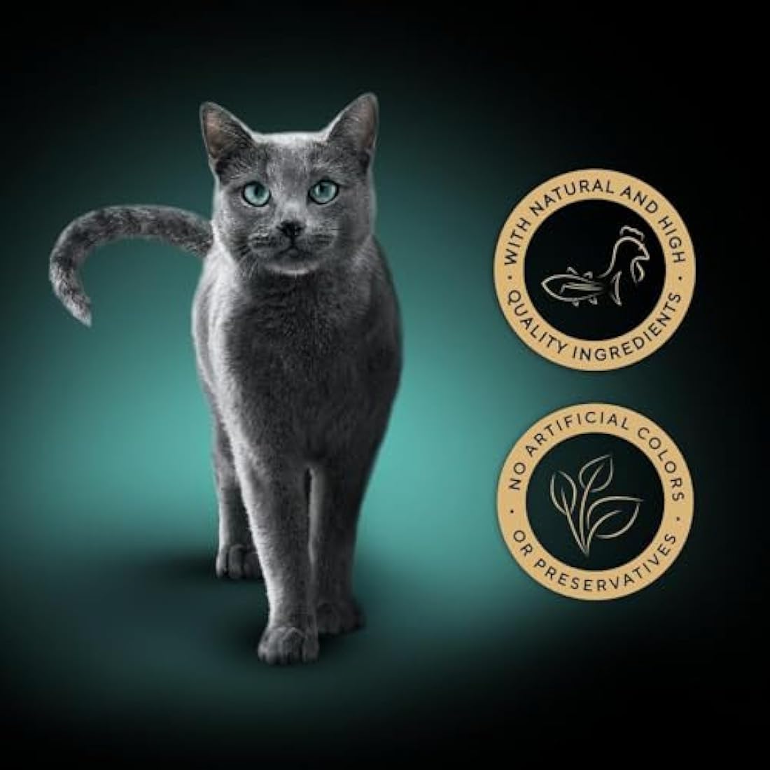 Sheba Fillets Cat Food Tray with Chicken and Tuna (MSC) in Gravy 2x16x60g