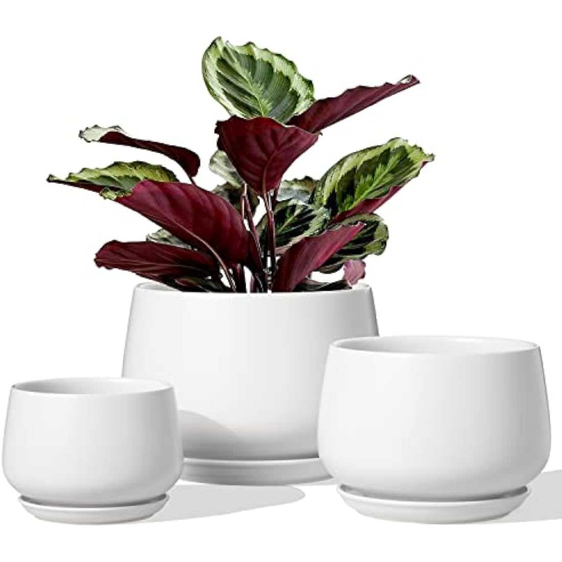 LE TAUCI Plant Pots, 10+13+16 cm Planters, Set of 3 Ceramic Planters with Drainage Hole and Saucer, Indoor Plant Pot with Hole Mesh Pad, Gifts for Mom, White