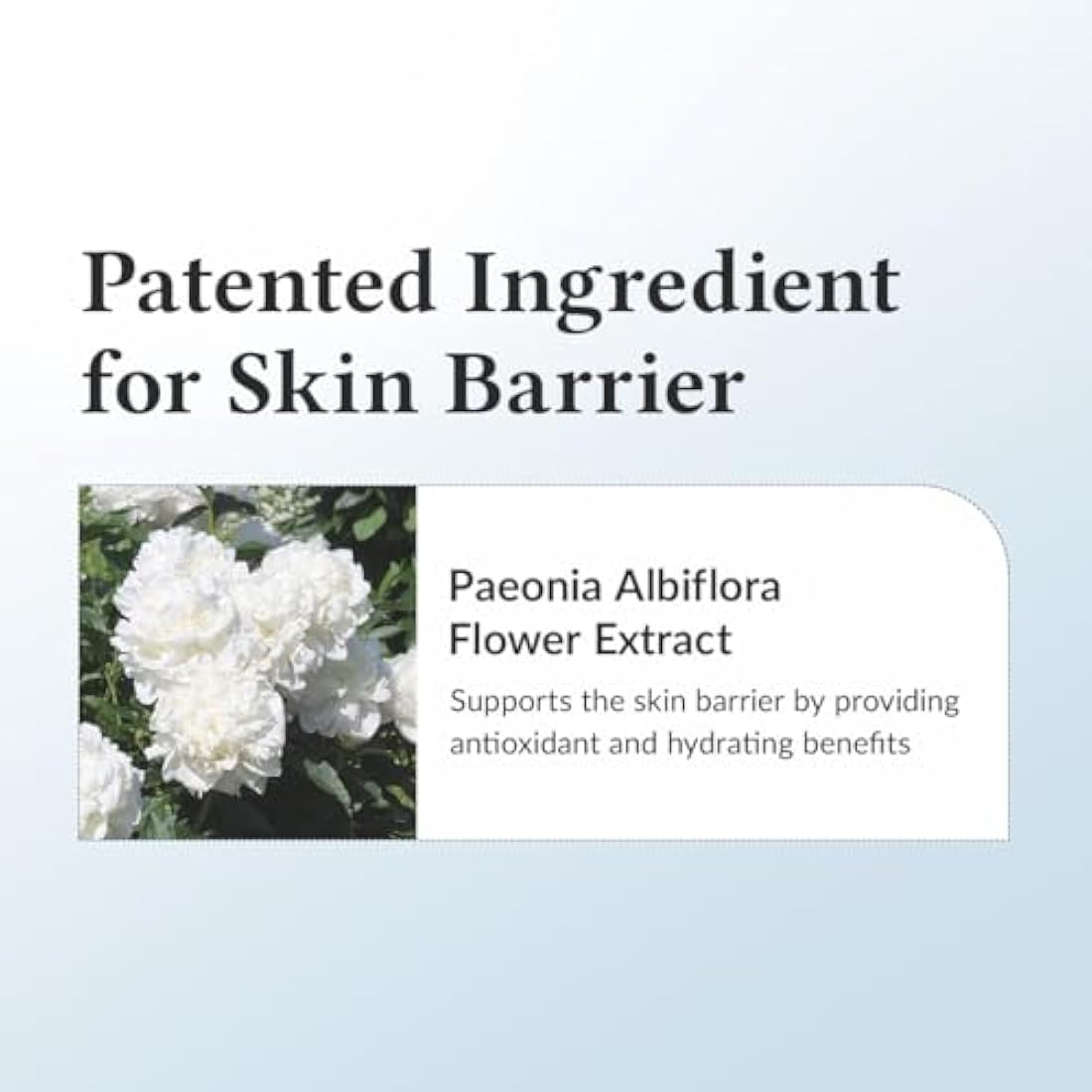 Dr.Althea 147 Barrier Cream | Daily Skin Barrier Repair Care | Deep Hydrating with Hyaluronic Acid & Ceramides | Korean Vegan Skin Care for All Skin Types | 1.7 Fl Oz