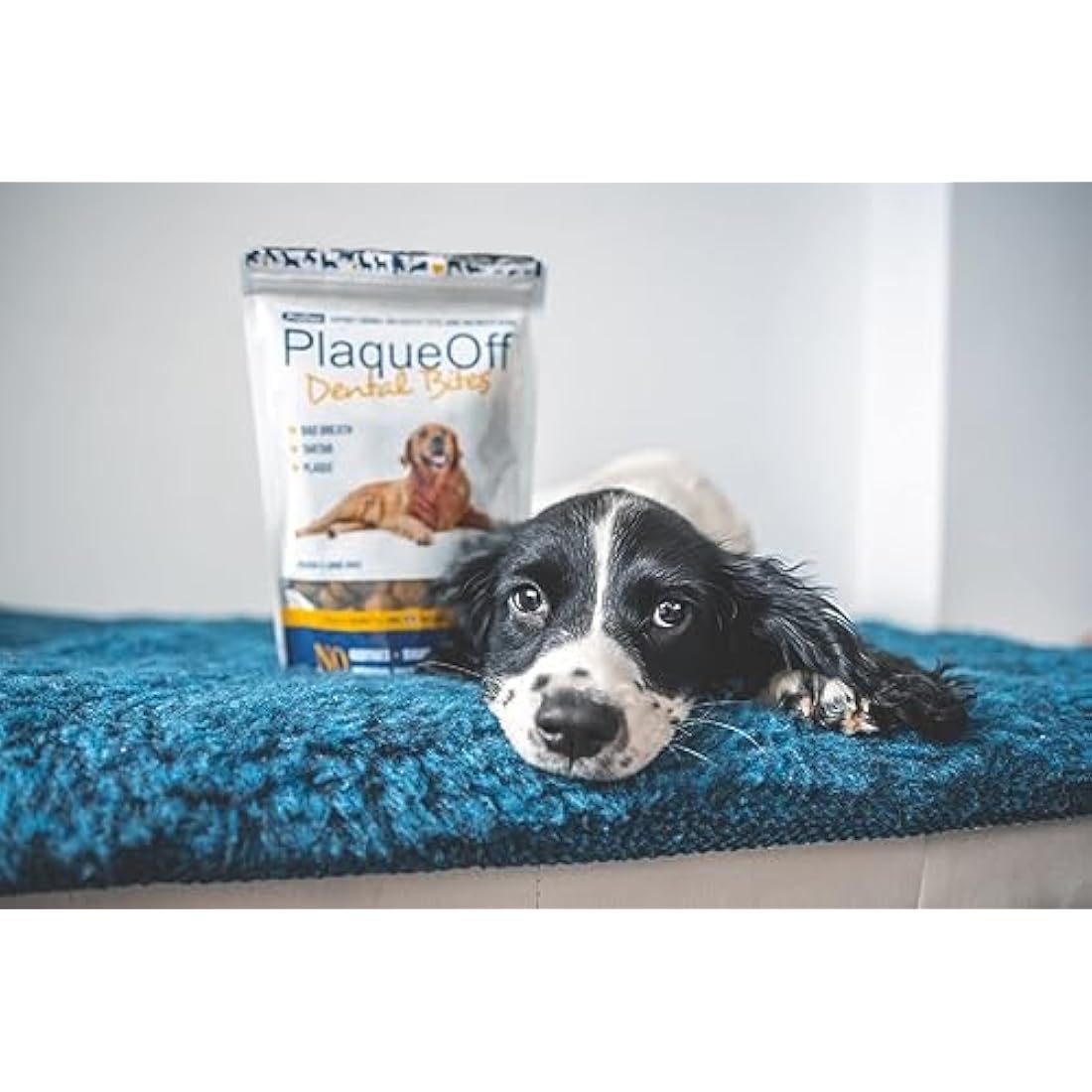 ProDen PlaqueOff Dental Bites for Dogs Tartar & Bad Breath Remover 100% Natural Teeth Cleaner and Tartar Remover - Improve Overall Oral Health - 150g