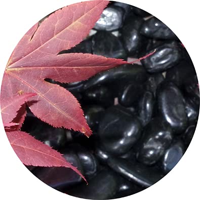 Specialist Aggregates ? - 15kg Polished Decorative Black River Stone Pebbles | MEDIUM 20-40mm | Home | Garden | Water Features | Weddings | Events |