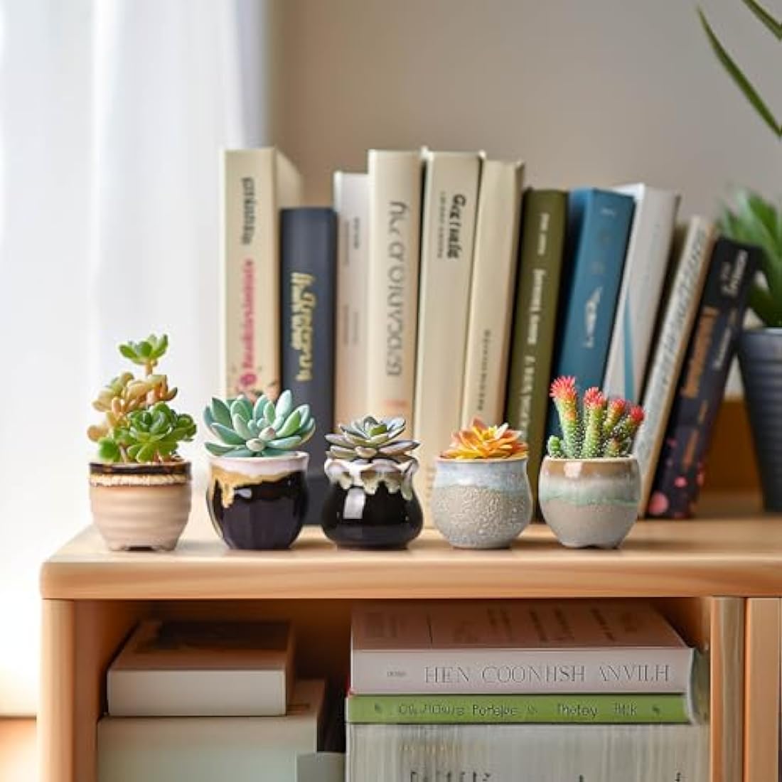 T4U Small Ceramic Succulent Pots with Drainage Set of 6, Mini Pots for Plants, Tiny Porcelain Planter, Air Plant Flower Pots Cactus Faux Plants Containers, Home and Office Decor