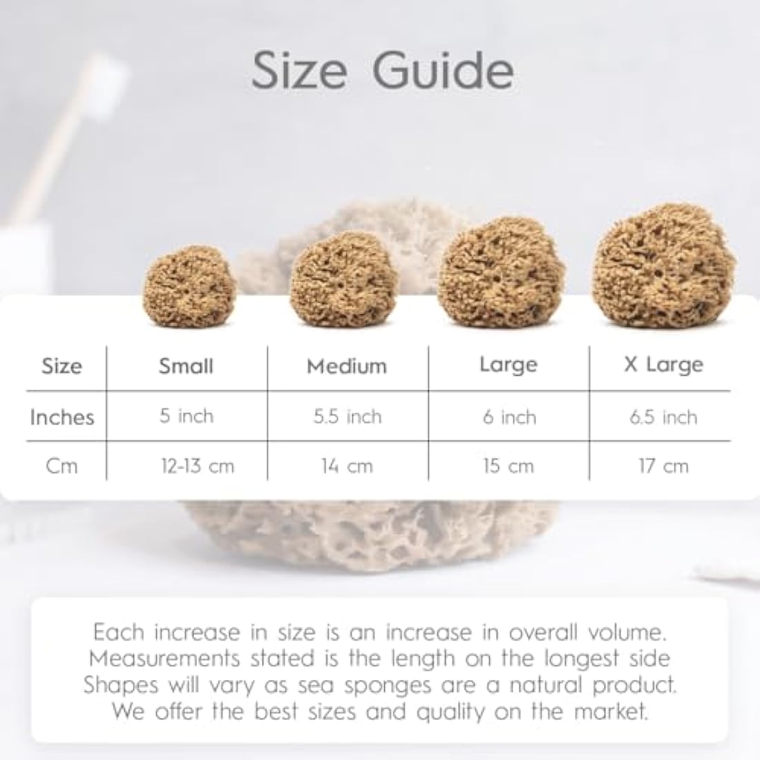 NAROA Natural Soft Honeycomb Sea Sponges for Shower in Gift Box | Gentle Sea Loofah for Healthy Skin | Smooth Body Puff Relaxing Bathing Men Women (Medium)