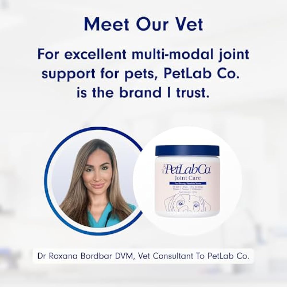 PetLab Co. Joint Care Chews – Daily Joint Supplements For Dogs - Help Promote An Active & Healthy Life - Rich In Glucosamine, Turmeric, Salmon Oil To Support Mobility & Healthy Joints