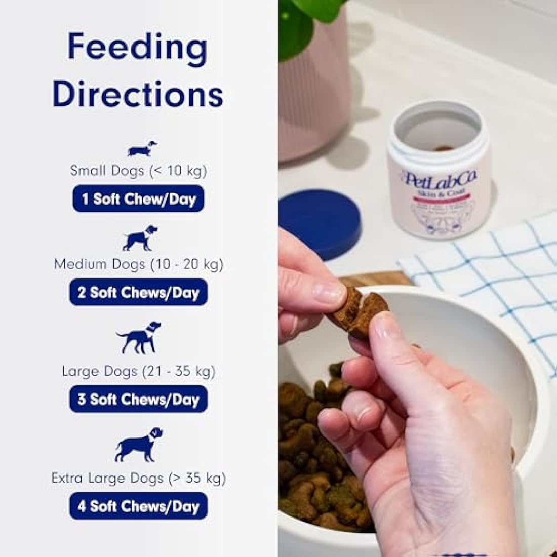 PetLab Co. Skin & Coat Chews - Support A Healthy, Comfortable Coat In Seconds A Day. Formulated With Beneficial Fatty Acids, Vitamins, Honey, & Turmeric To Optimize Skin and Coat Condition