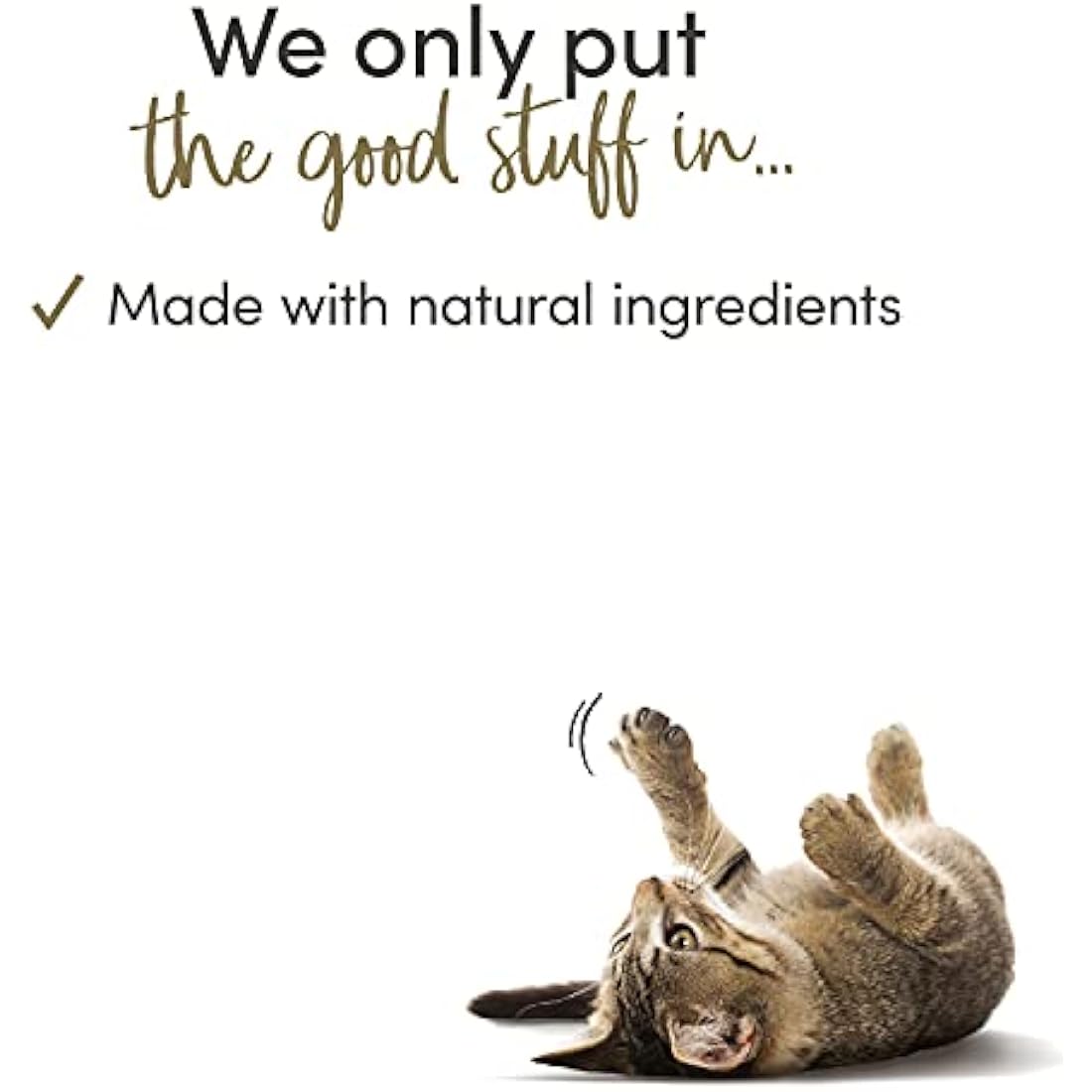 Applaws Complete Wet Cat Food for Senior Adult Cats, Tuna and Chicken Selection in Jelly Tin 6 x 70g