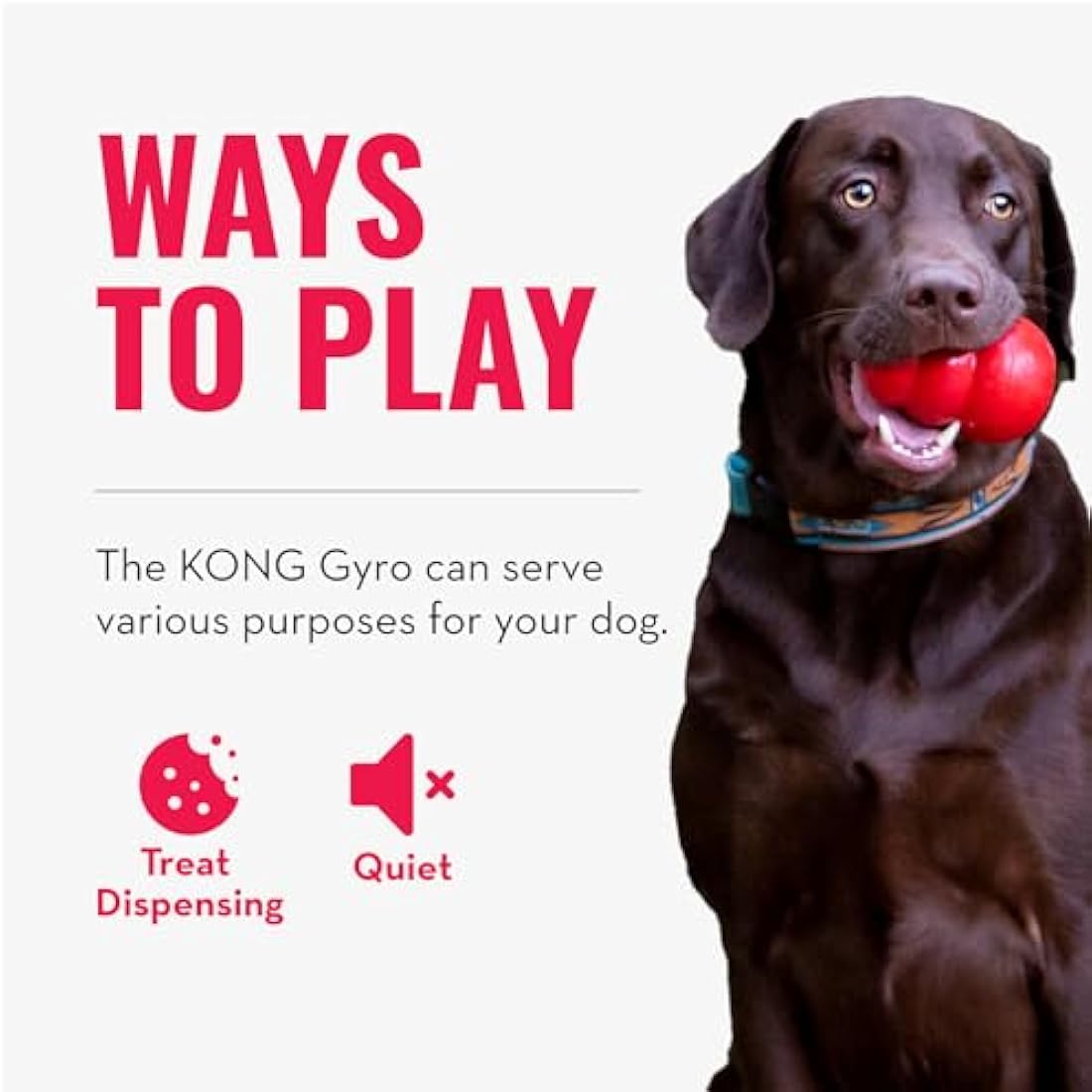 KONG Gyro - Interactive Dog Toy for Treat Dispensing - Dog Slow Feeder for Healthy Eating - For Medium/Large Dogs