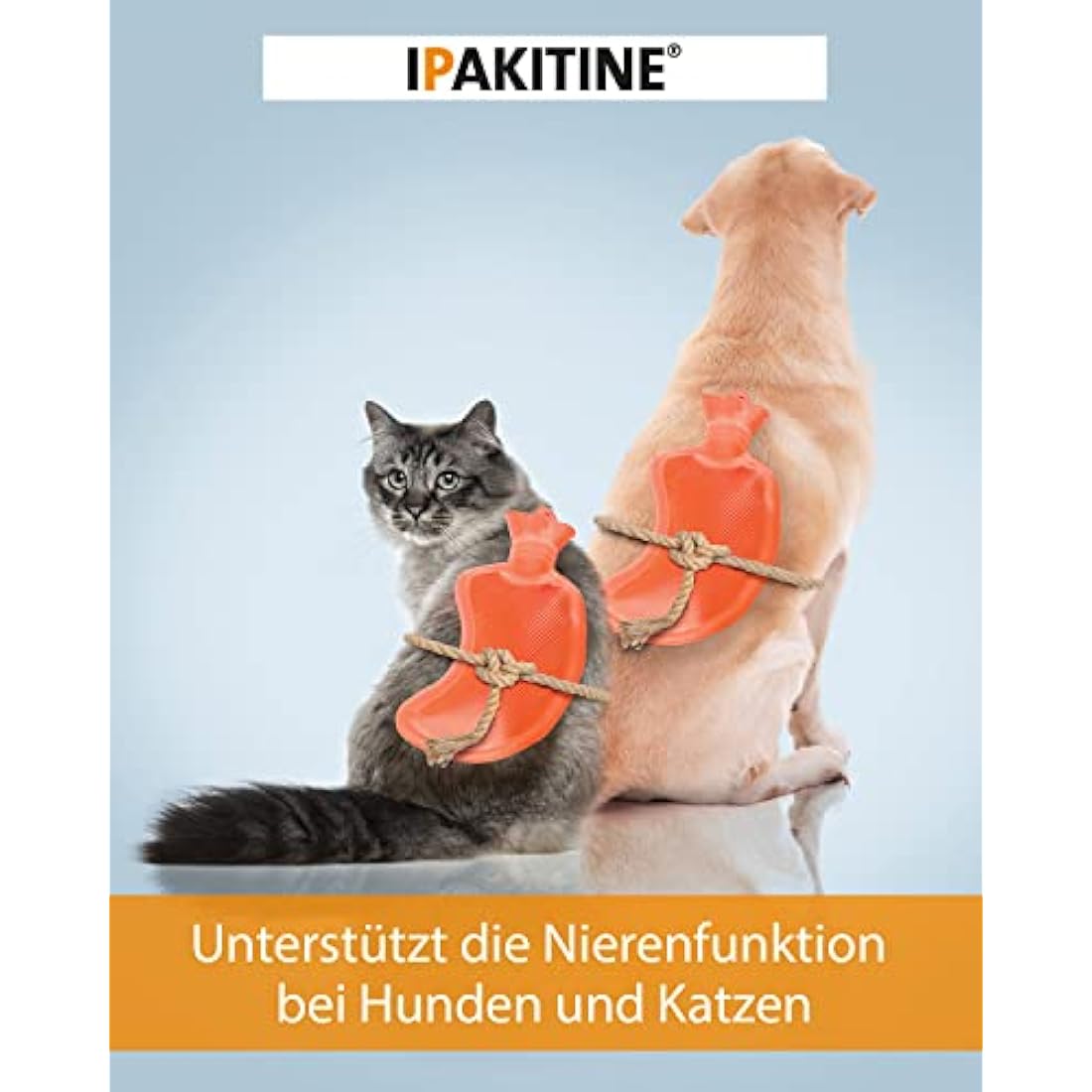 Vetoquinol Ipakitine Phosphate Reducer Aiding Kidney Function (Size: 180g Pot)