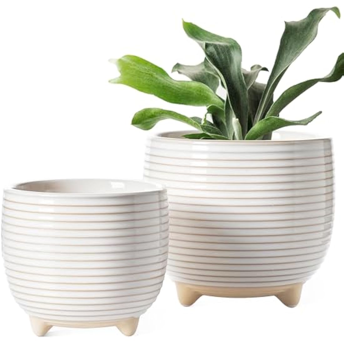 LE TAUCI Ceramic Plant Pots, 12 + 16 cm Footed Pots for Plants, Cute Modern Flower Pots for House and Office, Small Indoor Planters with Drainage, Reactive Glaze White