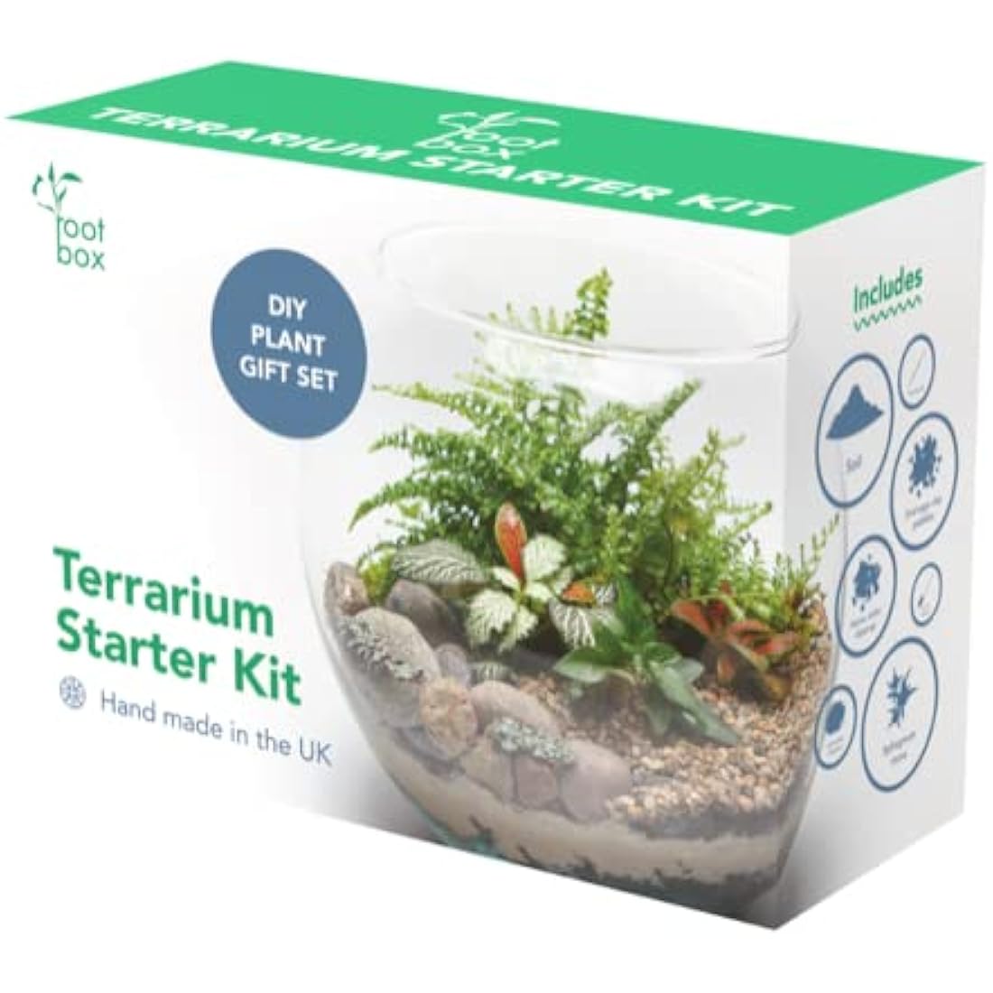 Root box CLEARANCE Large Plant Terrarium Kit in scented giftbox | Succulents, Bonsai, Fittonia, Cactus | Unique DIY GIFT for Summer Anniversaries Birthdays Employees