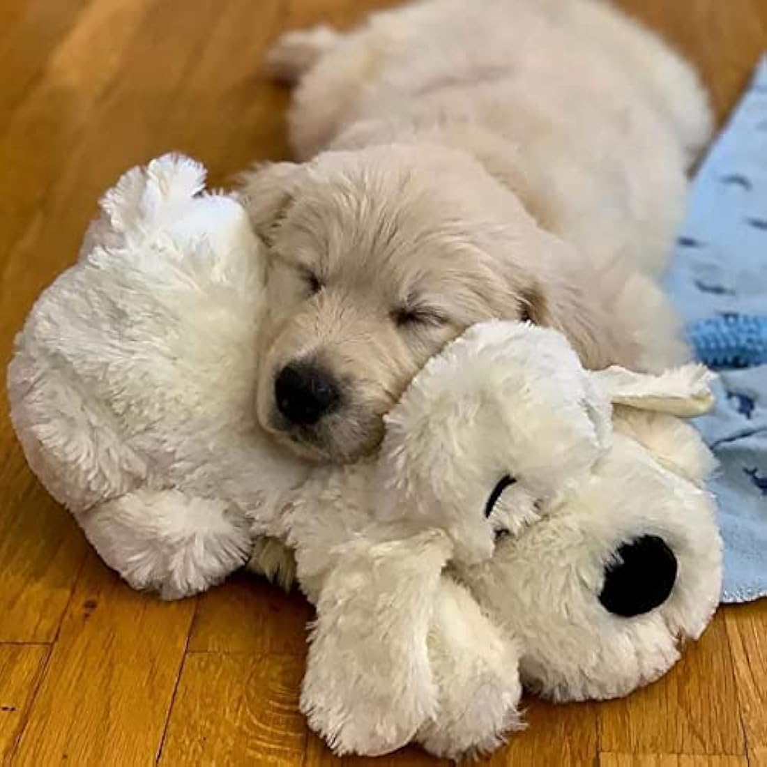 Original Snuggle Puppy Toy, Heartbeat Toy for Puppy, Dog Toys for Anxiety Relief, Calming Aid, Dog Heartbeat Toys for Behavioral Training in Golden