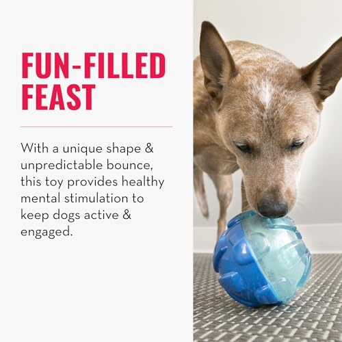 KONG - Rewards Ball - Ultra Durable Interactive Treat Dispensing Dog Toy - For Large Dogs