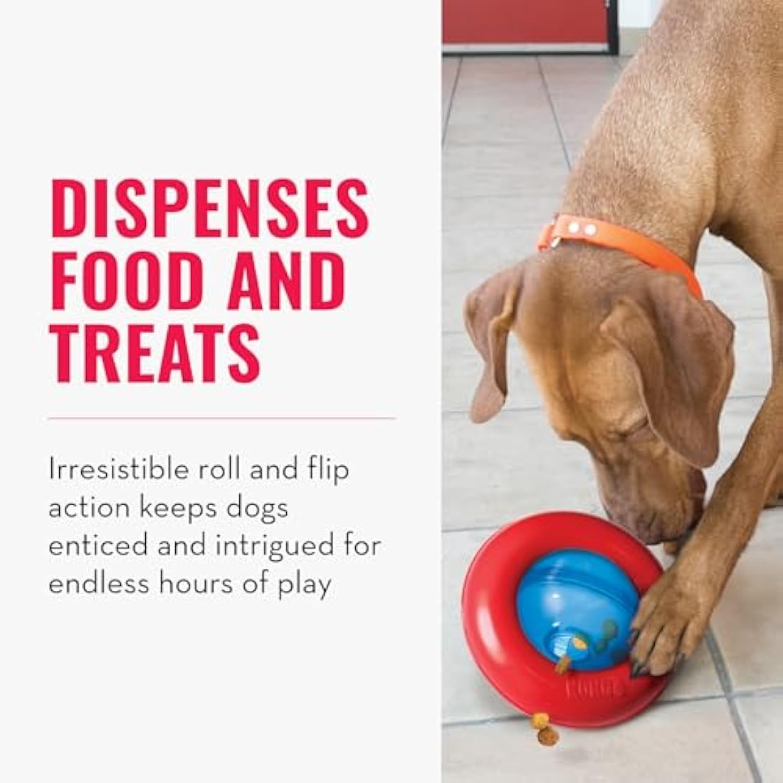 KONG Gyro - Interactive Dog Toy for Treat Dispensing - Dog Slow Feeder for Healthy Eating - For Medium/Large Dogs