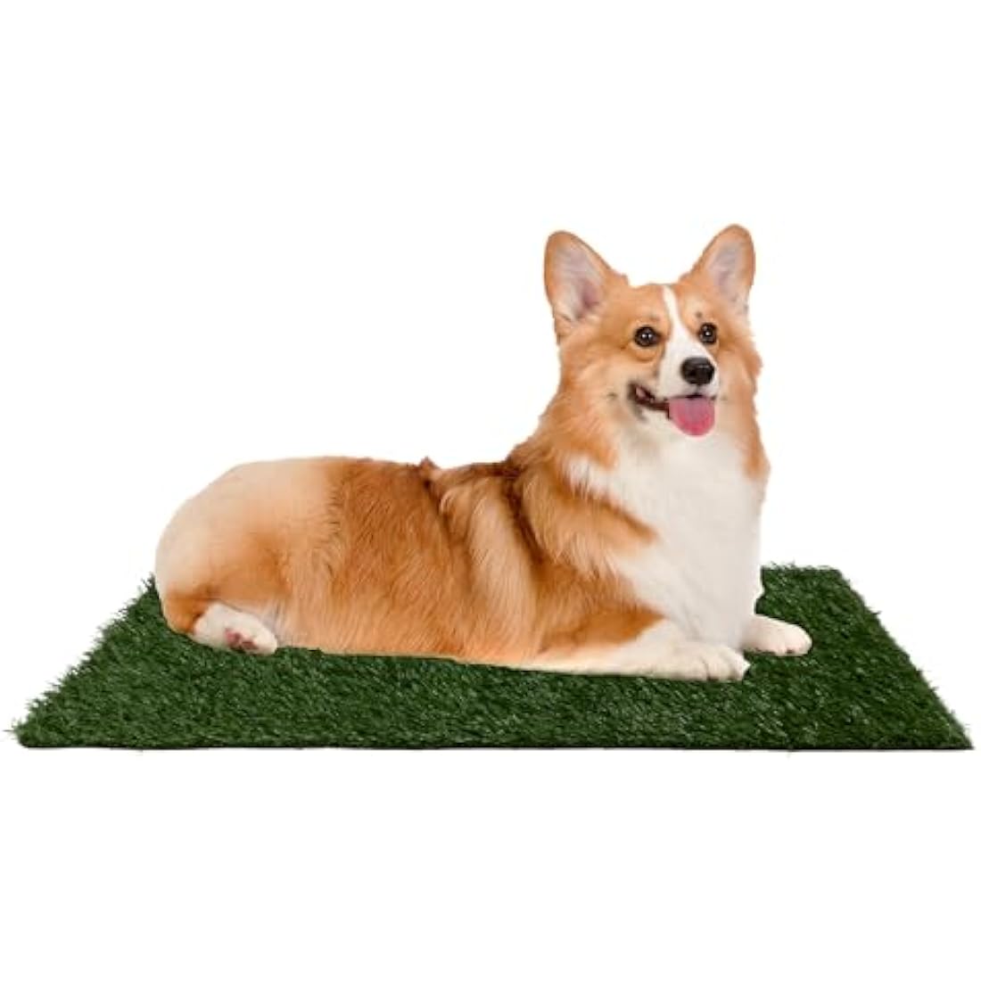 Artificial Grass Puppy Pee Pad for Dogs and Small Pets - 20x25 Reusable 3-Layer Training Potty Pad with Tray - Dog Housebreaking Supplies by PETMAKER,Green
