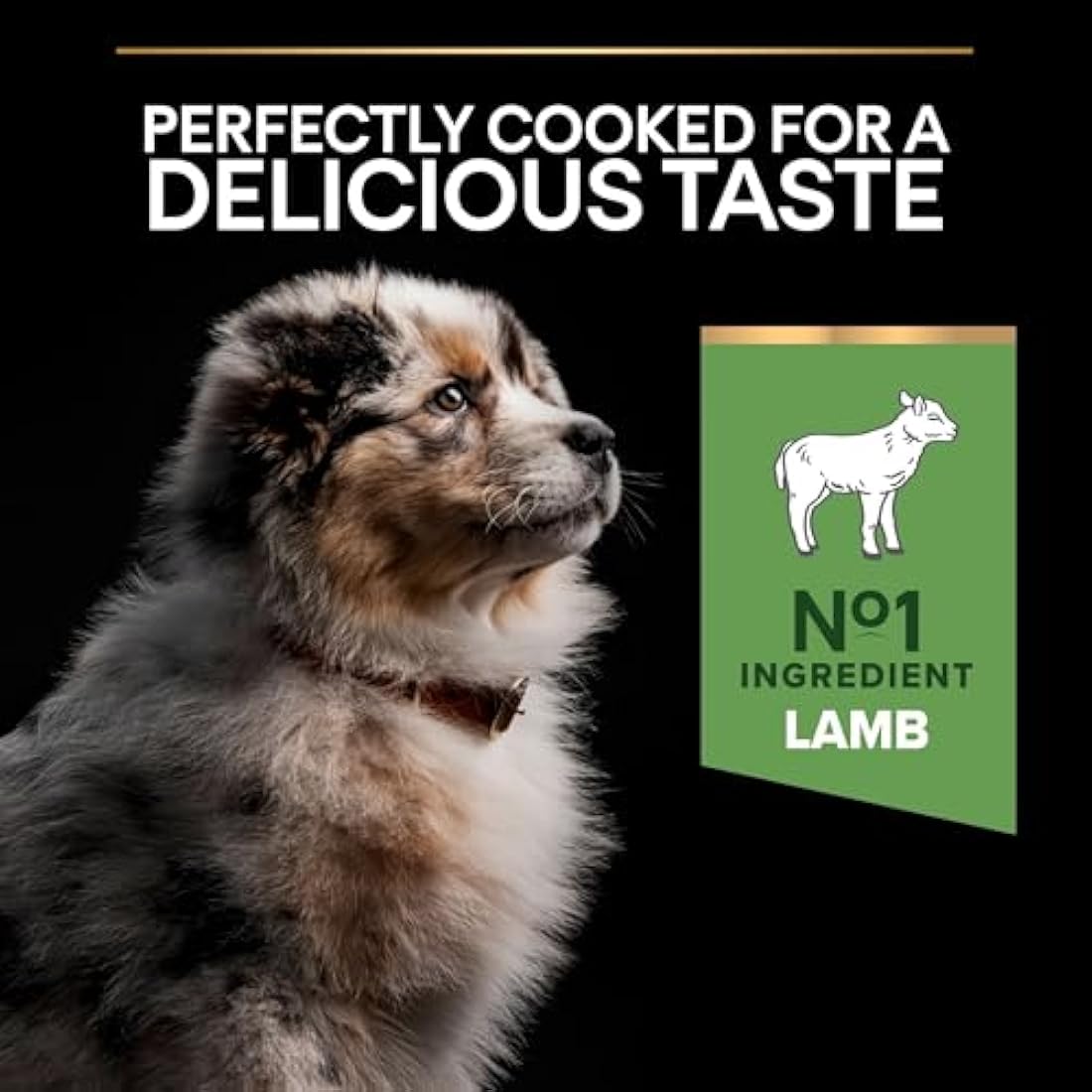 PRO PLAN Sensitive Digestion Medium Puppy Dry Dog Food Lamb 3kg, For Neutered Dogs
