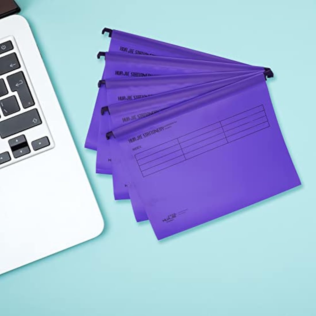 Suspension Files, MerryNine 15PCS Polypropylene Filing Cabinet Suspension Files with Tabs and Card Inserts for School Home Work Office Organization **Check Size Before Ordering ** (Purple, A4)
