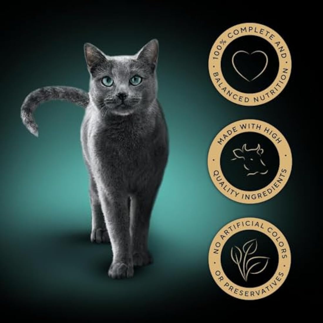 Sheba Select Slices in Gravy – Beef Selection – Wet cat food trays for adult cats – 22 x 85 g Pack