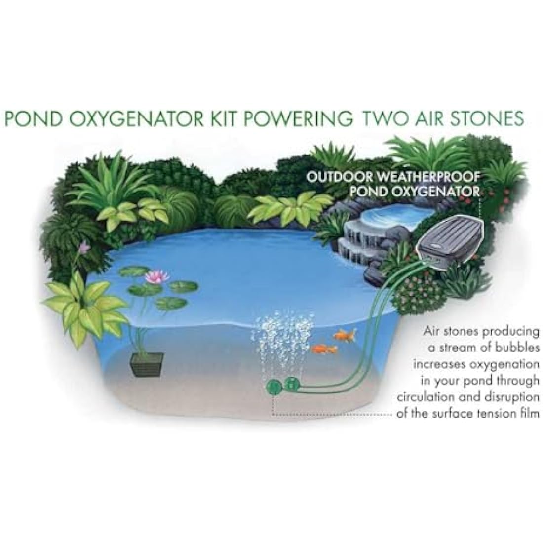 Blagdon Pond Water Oxygenator Kit, 2 Outlet Aeration Air Pump for Standard Ponds up to 2000 litres, Green