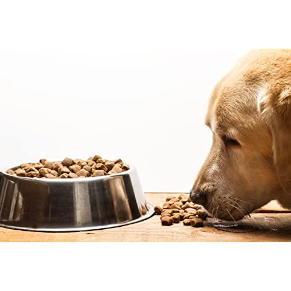 Skinner’s Field & Trial Duck & Rice – Complete Dry Adult Dog Food, Sensitive, Hypoallergenic, For Active Dogs, 15kg