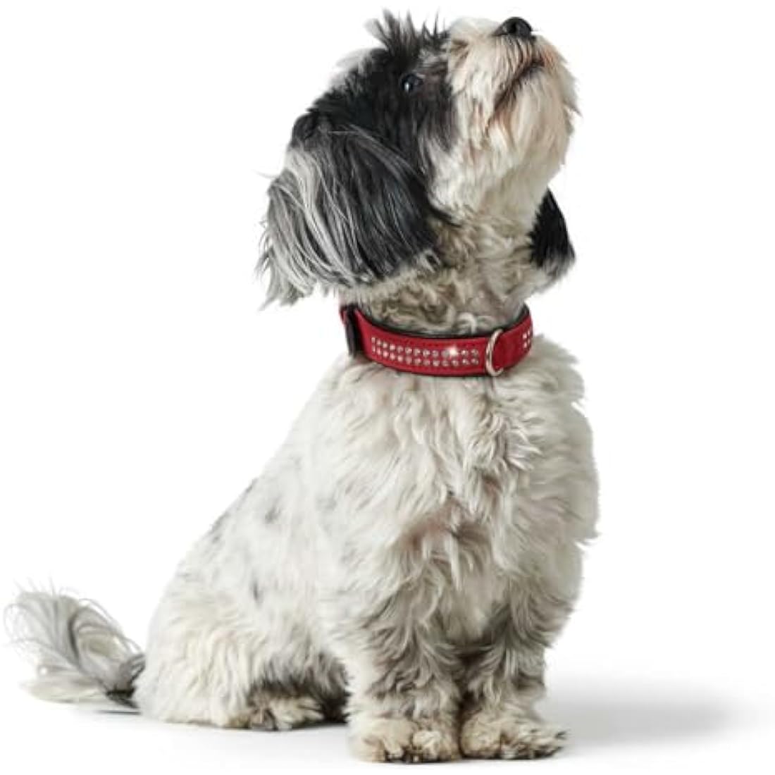 Hunter Softie Deluxe Collar, 45, Red