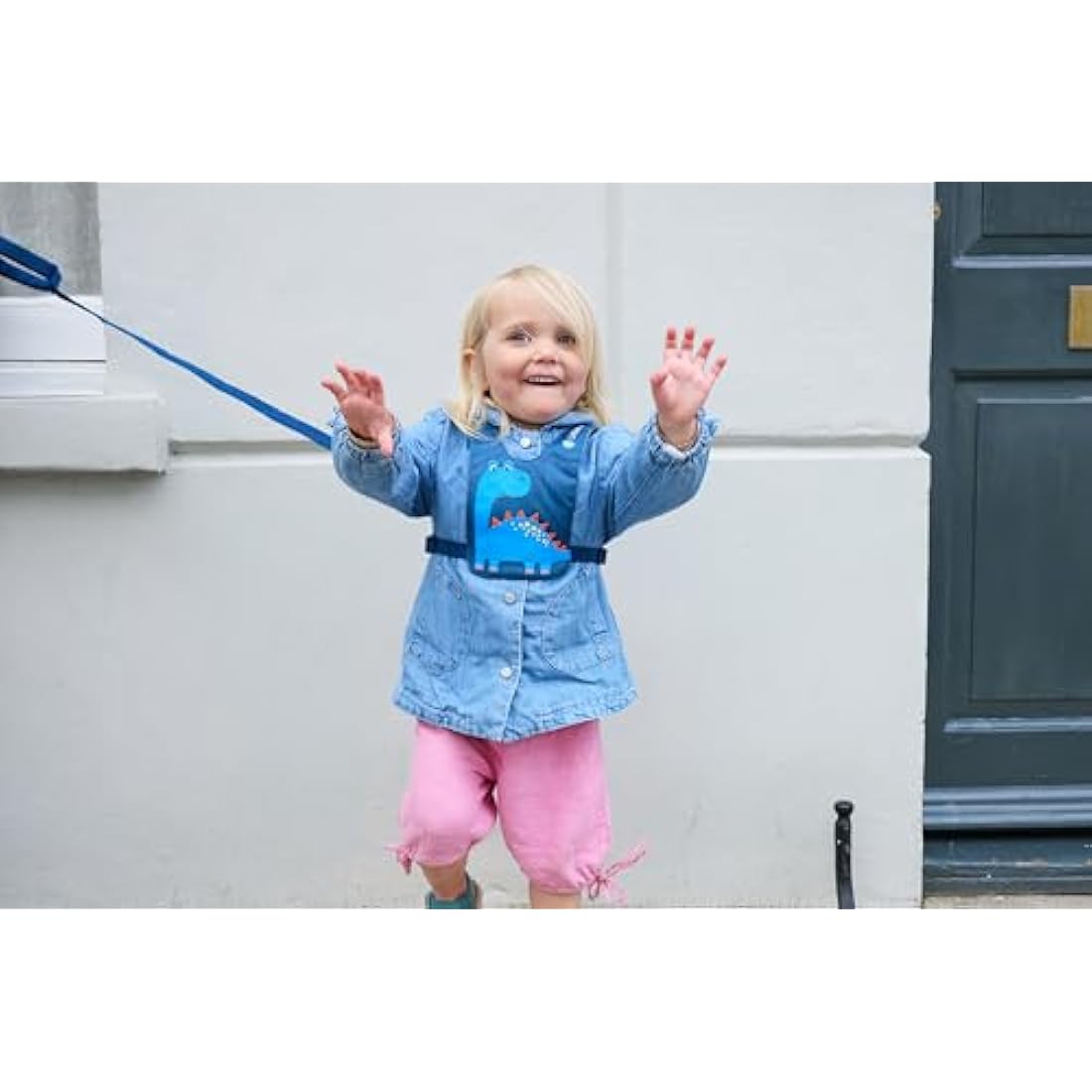 LittleLife Child & Toddler Safety Walking Harness & Reins