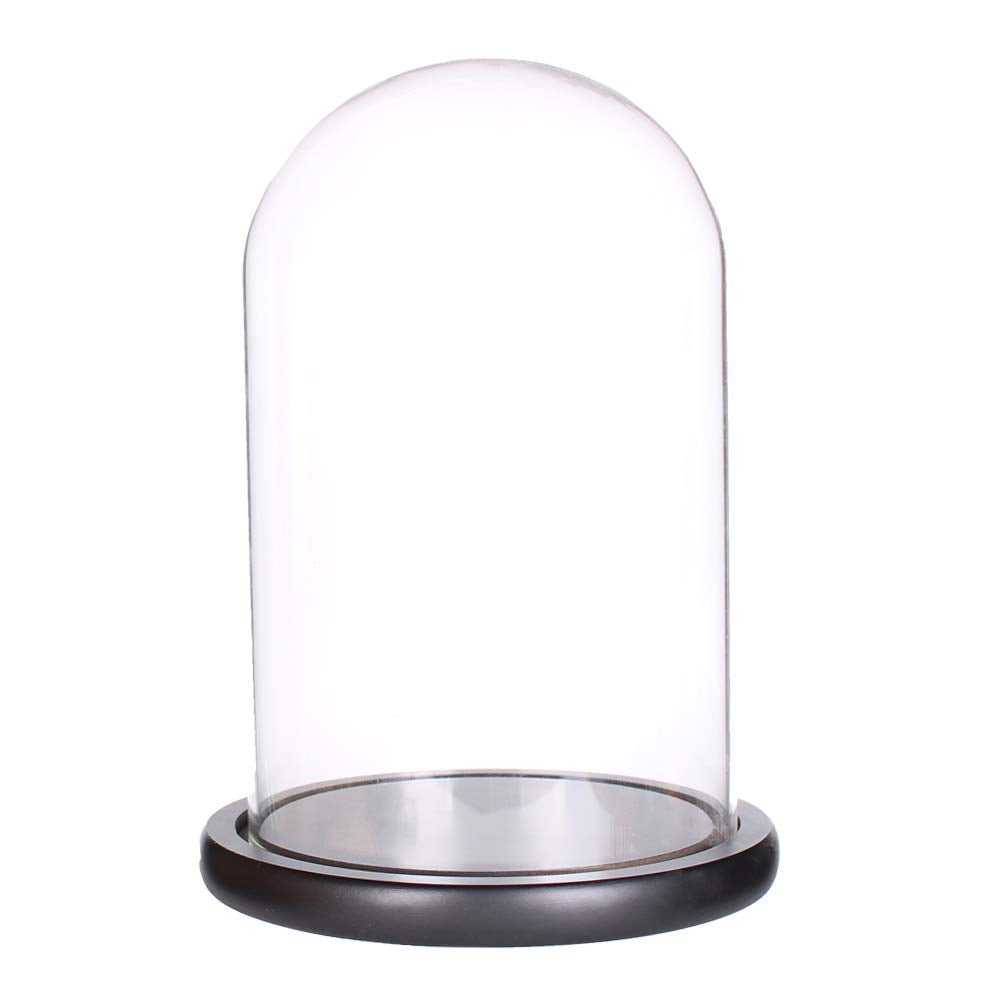 LegendTech Glass Display Dome Cloche with Black Wood Base (15 cmx30 cm)