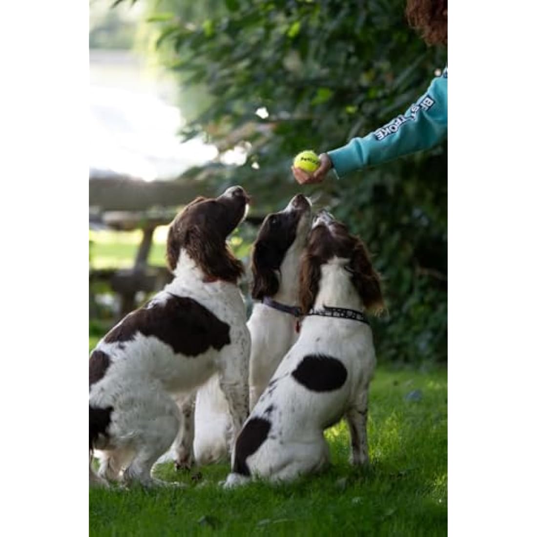 Petface Super Tennis Balls for Dogs - Durable, High-Visibility Fetch Toy for Outdoor Play (3 Pack)