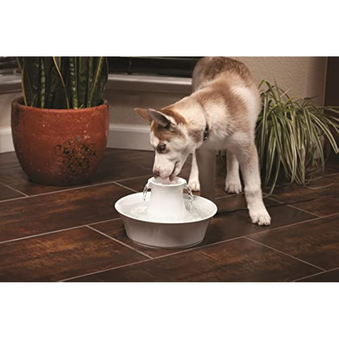 PetSafe Drinkwell Carbon Replacement Filters, Keeps Water Clean & Fresh, Compatible with Multiple PetSafe Fountains, 4 pack, White