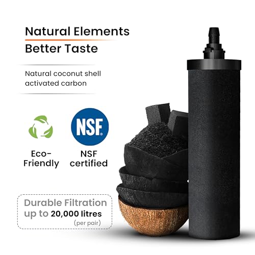 PHOENIX GRAVITY 6-Litre Stainless Steel Gravity Water Filter NSF Certified AISI 304 Countertop Water Filter System with 2 Smart (Black) Carbon Cartridges, Free Water Tap, No Power Or Plumbing Required