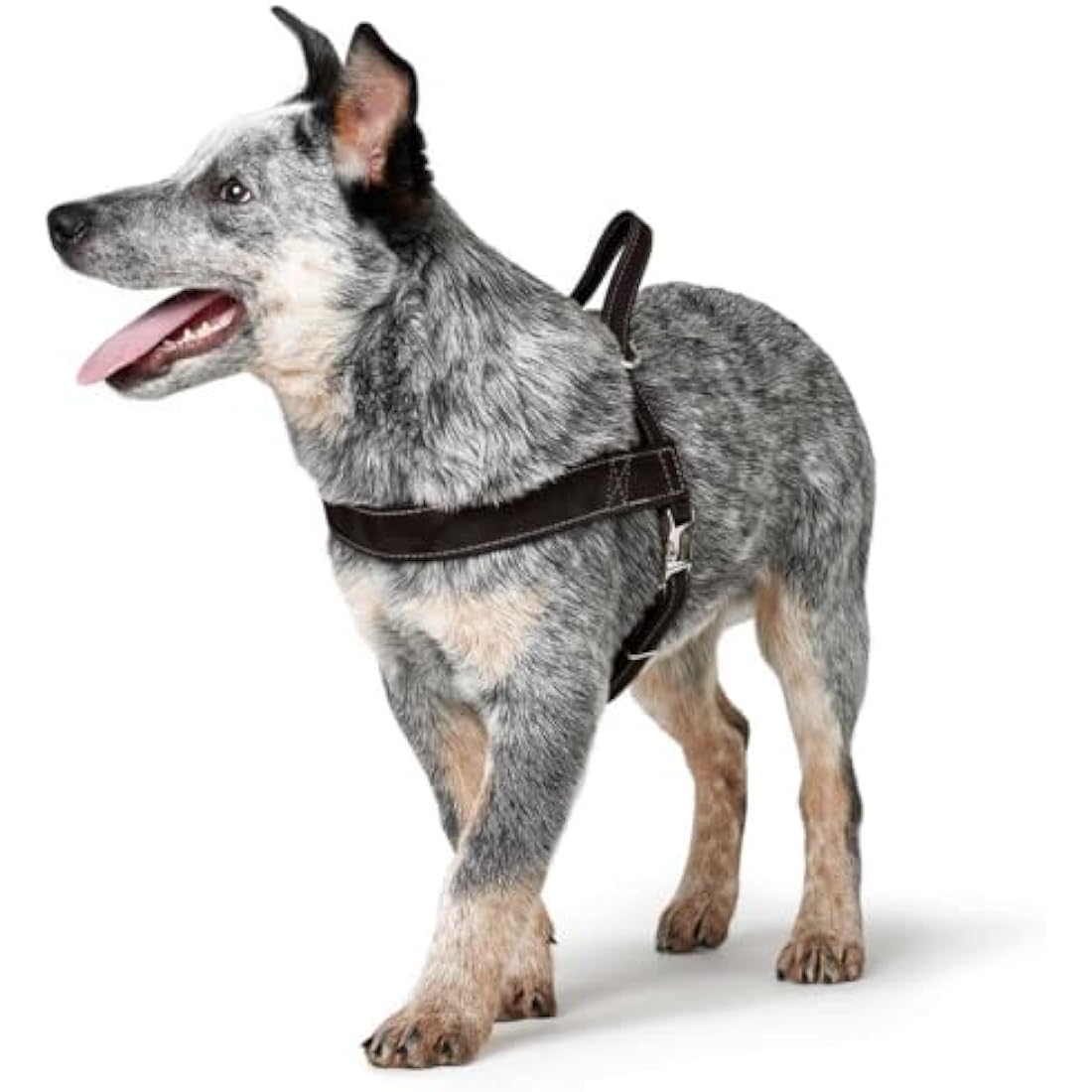 Hunter Norwegian harness for Dogs Hunting, 60 x 77-110 cm, Black
