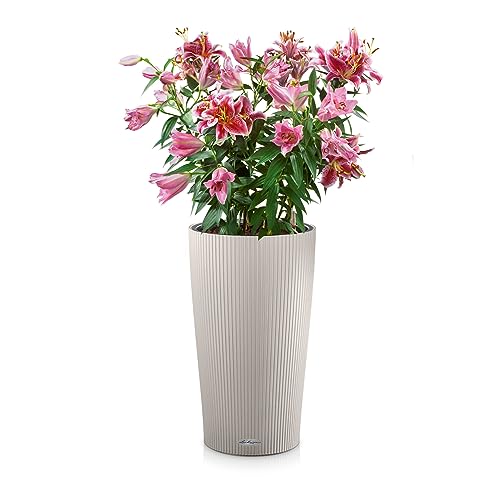 Lechuza CILINDRO Color 23 Self Watering Planter Garden Plastic Indoor and Outdoor Flower Plant Pot with Drainage Hole D23 H41 cm Sand Brown