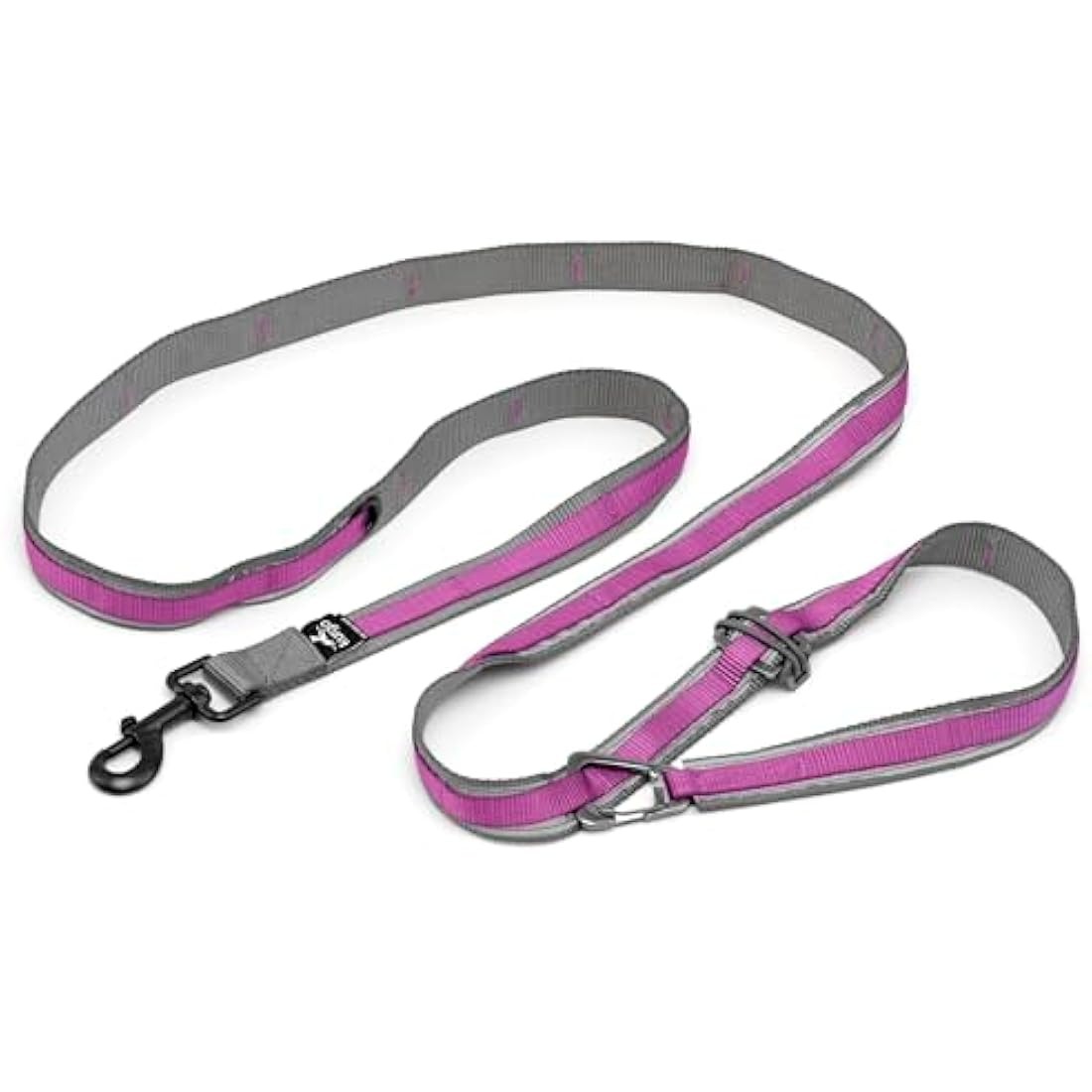 Quantum V2 6-in-1 Dog Leash, Multi-Use Dog Lead for Walking & Running, Adjustable, Hands-Free Option, Violet