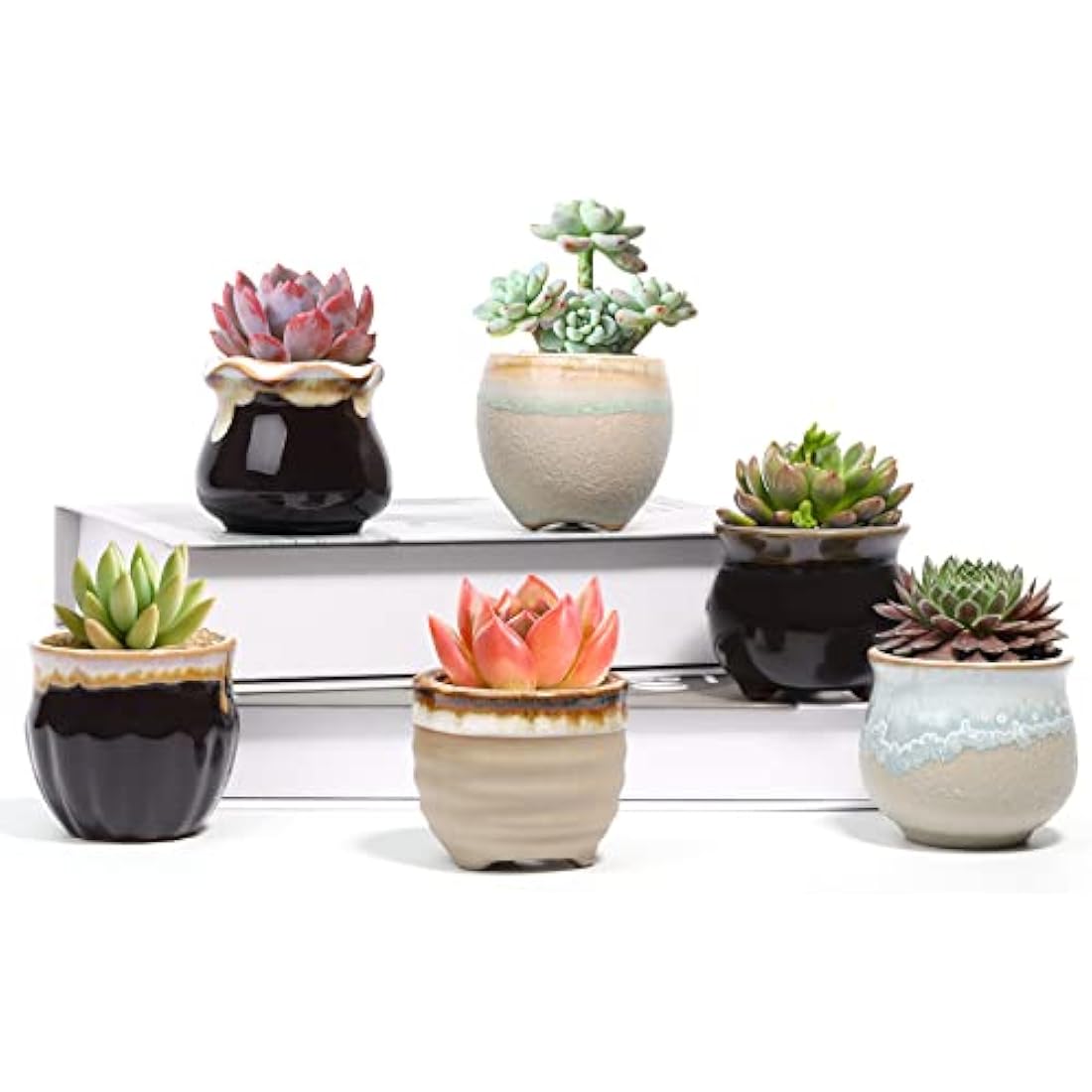 T4U Small Ceramic Succulent Pots with Drainage Set of 6, Mini Pots for Plants, Tiny Porcelain Planter, Air Plant Flower Pots Cactus Faux Plants Containers, Home and Office Decor