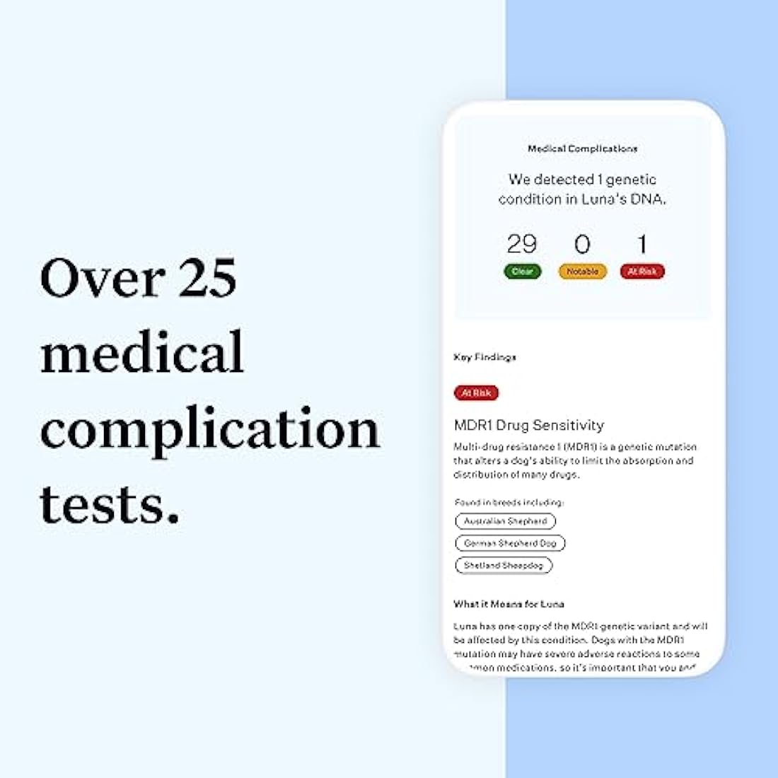 Wisdom Panel Essential: Most Accurate Dog DNA Test Kit for Breed ID and Ancestry | 25+ Genetic Health Conditions | Traits | Relatives,white,75 g (Pack of 1)