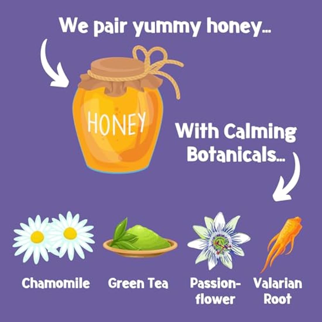 PARK LiFE - Chill Bix Dog Biscuits Honey & Chamomile, 6 x 300g